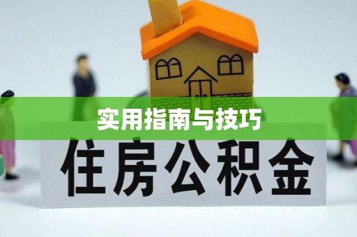 阳城实用指南与技巧