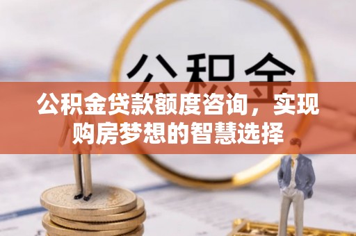 阳城公积金贷款额度咨询，实现购房梦想的智慧选择