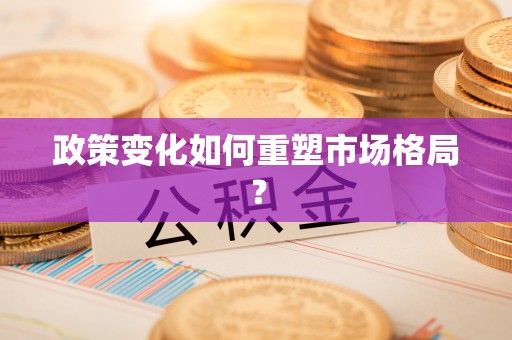 阳城政策变化如何重塑市场格局？